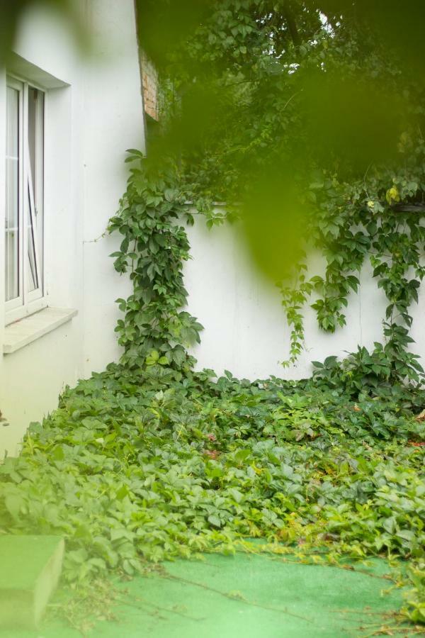 Magic Garden Hostel Kalisz  Exterior photo